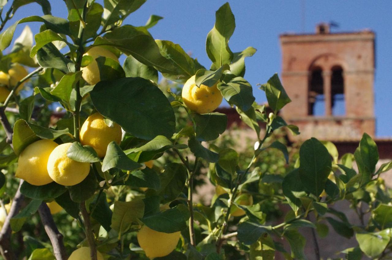 Monastero Sant'Anna In Camprena Villa Pienza Dış mekan fotoğraf